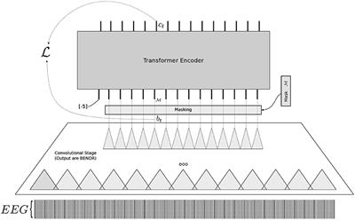 BENDR: Using Transformers and a Contrastive Self-Supervised Learning Task to Learn From Massive Amounts of EEG Data